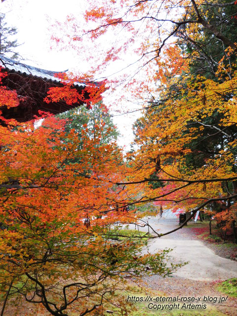 19.11.27 高雄 神護寺  (104)