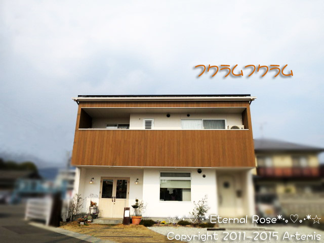 13 フクラムフクラム  (4)