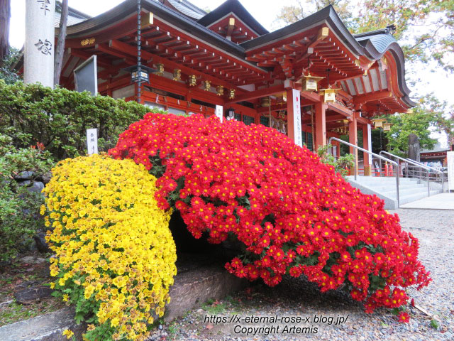19.11.26.4 長岡天神 (53)