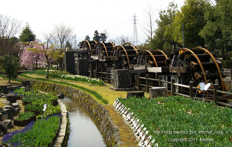 10.4.18 チューリップ四季彩館  (5)