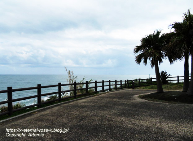 20.11.1.5 いるか岬  (1)