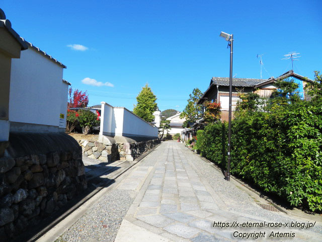 19.11.23.1妙心寺  (5)