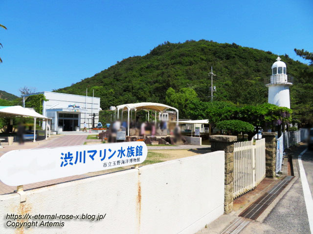 22.5.5.4 渋川八幡宮 (3)