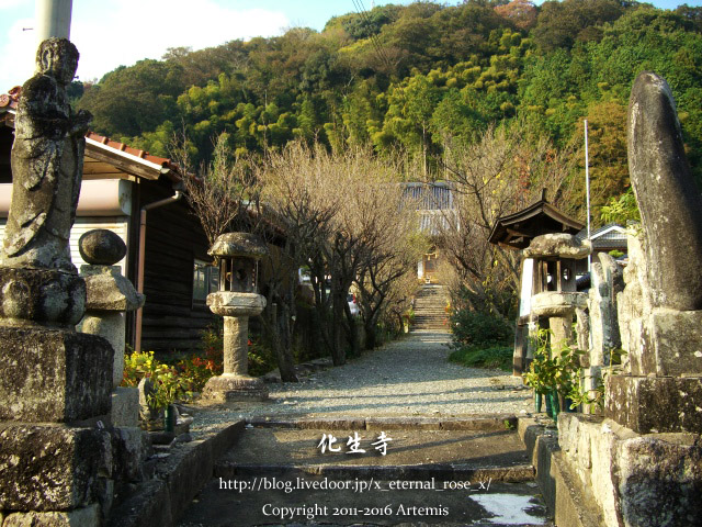 4化生寺 (11)