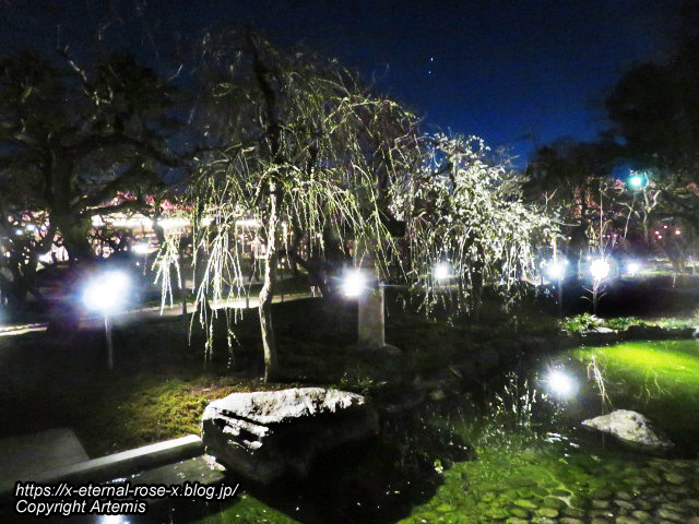 23.3.3. 北野天満宮 (41)