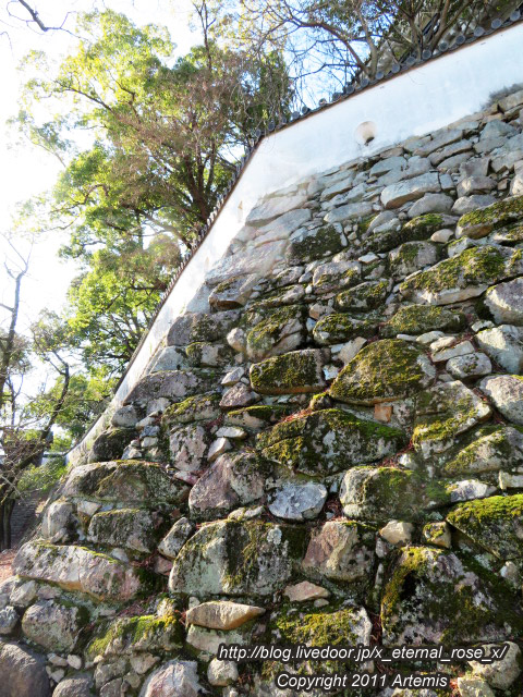 20.1.1.1 岡山城  (9)