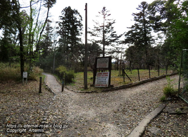 22.3.30.5 長岡公園  (1)