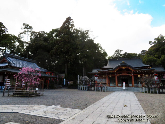 23.3.2.1 長岡天満宮 (41)