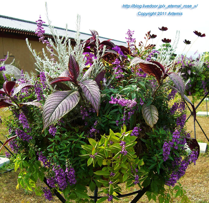 10.10.23.4 東院庭園  (23)