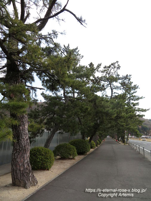 23.2.3.1 吉備津神社  (58)