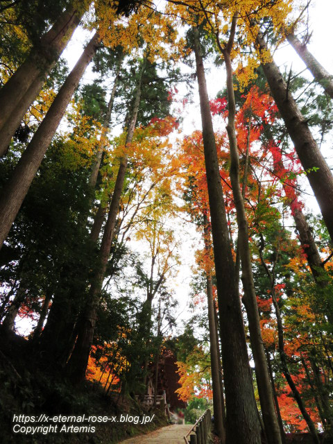 19.11.27 高雄 神護寺  (130)