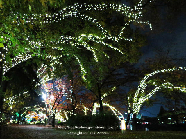 21 スズカフェ  (42)