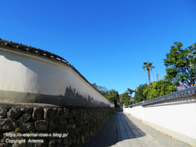 19.11.23.5 海福院 (4)