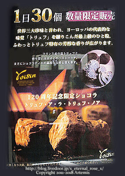 2 ヴォワザン  (15)