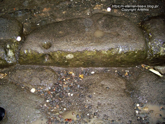 11.6.1.6 ポンペイ遺跡 (43)