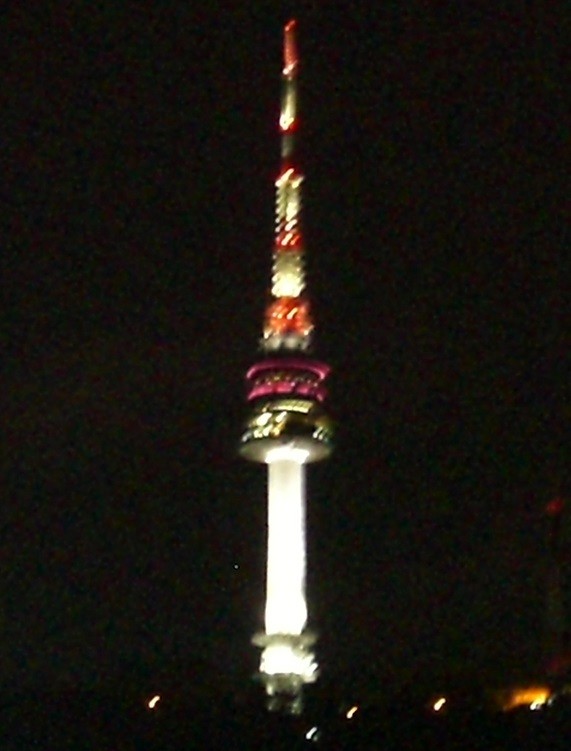 9.11.12.8 Nソウルタワー  (4)