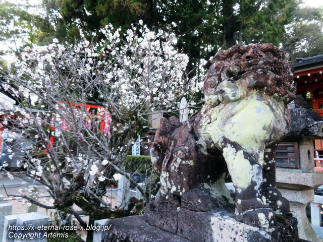 23.3.2.1  長岡天満宮  (43)