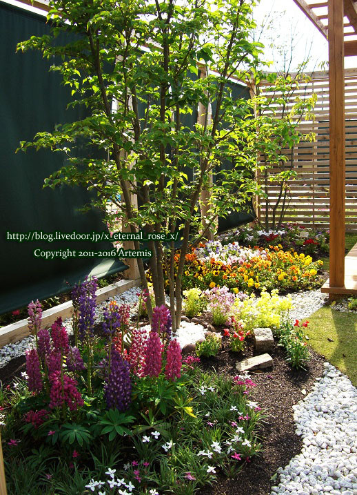 27 おかやま花だより (42)