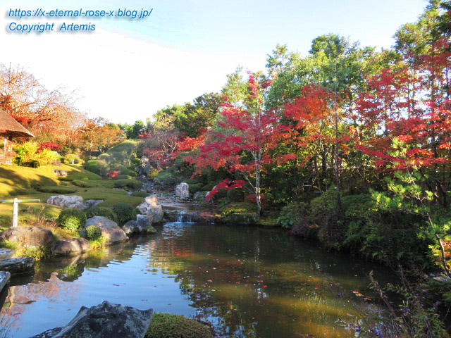 19.11.23.7 妙心寺 退蔵院  (66)