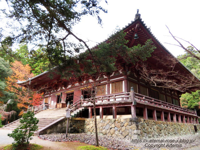 19.11.27 高雄 神護寺  (221)