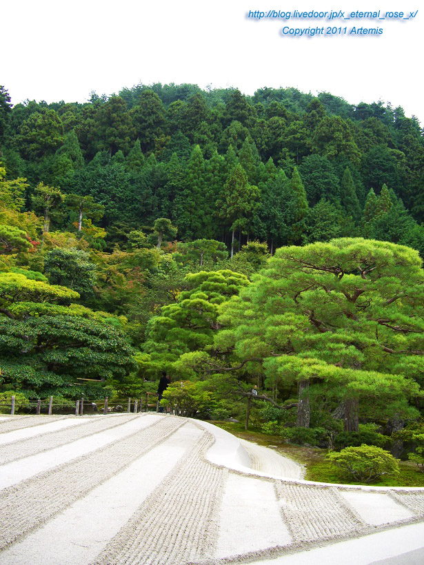 10.10.19.1 銀閣寺 (41)