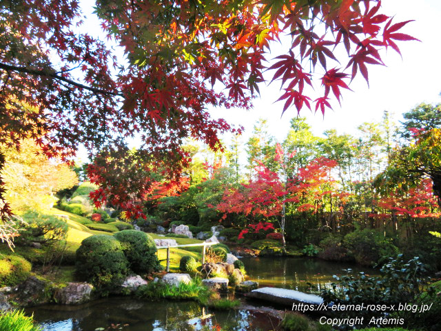 19.11.23.7 妙心寺 退蔵院  (59)