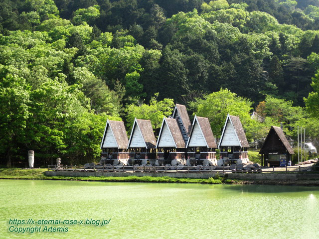 17.5.1.9 太陽公園  石のエリア (97)