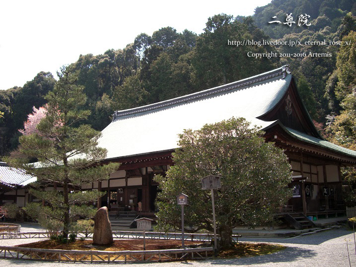 5 二尊院 (11)