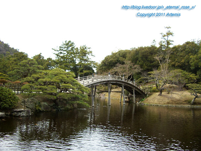 11.2.20 栗林公園 (39)