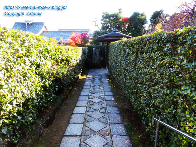 19.11.23.7 妙心寺 退蔵院  (46)