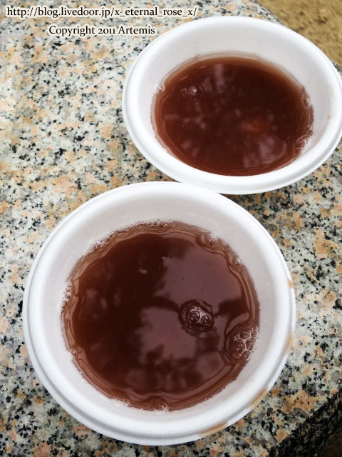 19.1.1.2 岡山城  (55)