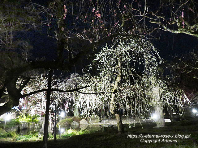 23.3.3. 北野天満宮 (59)