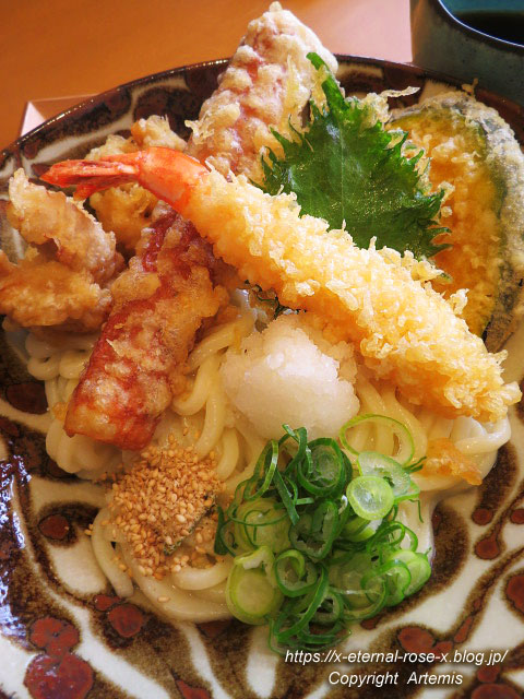 22.2.11 KAZUOうどん (31)