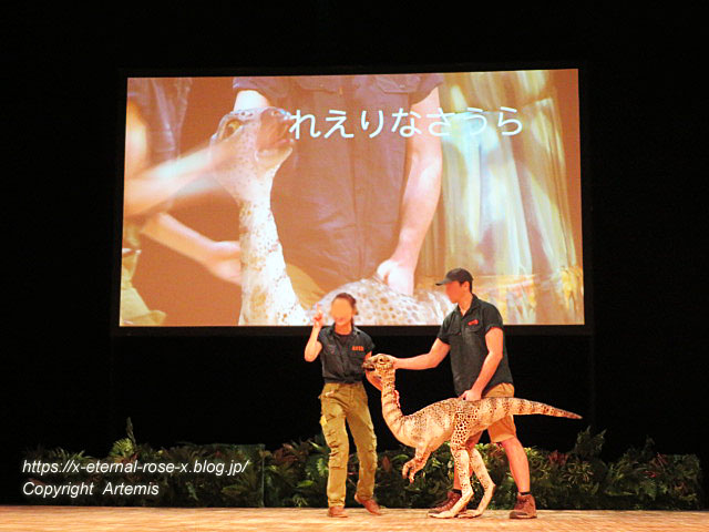 19.8.18.1 恐竜動物園 (32)