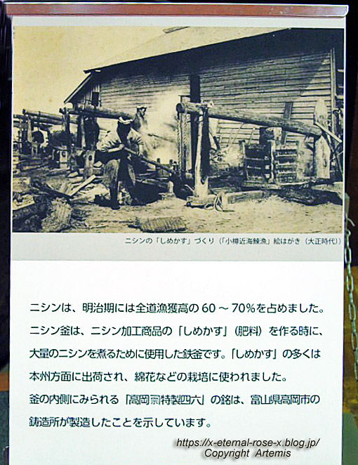 18.11.24.5 北海道庁旧本庁舎(61)