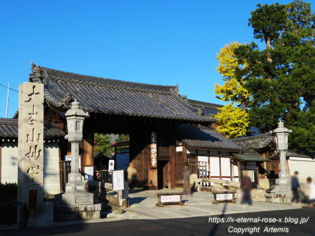 19.11.23.4.1 妙心寺  (4)