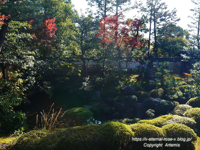 19.11.23.4 大雄院 (11)