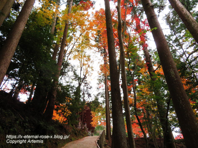 19.11.27 高雄 神護寺  (129)