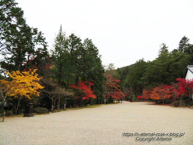 19.11.27 高雄 神護寺 (58)