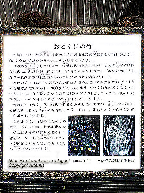 23.3.2.4 長岡天満宮 (27)