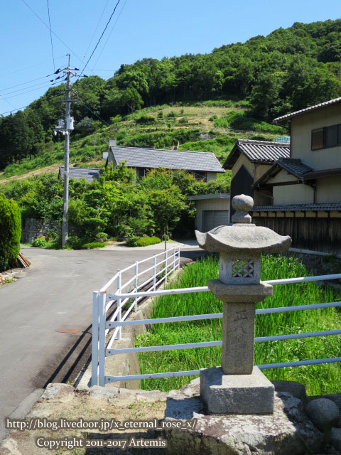3 夢百姓  (87)