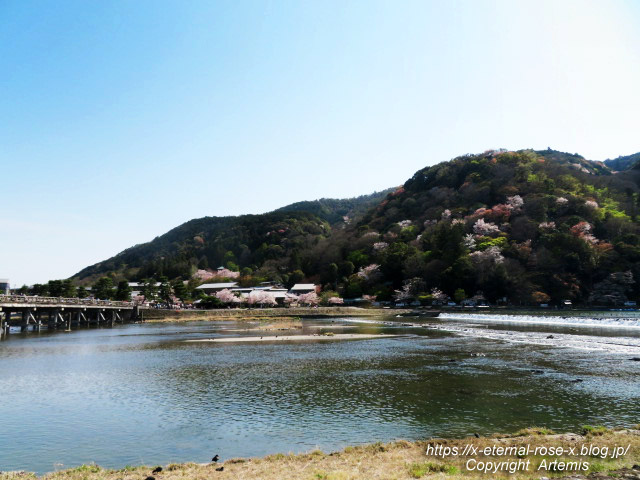 22.4.7 sonoka そばの実スイーツ  (10)