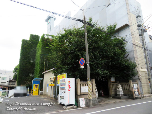 21.7.15 とんや (6)