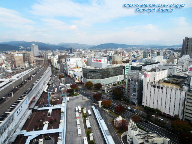 21.11.14 ホテルグランヴィア岡山 備彩  (68)