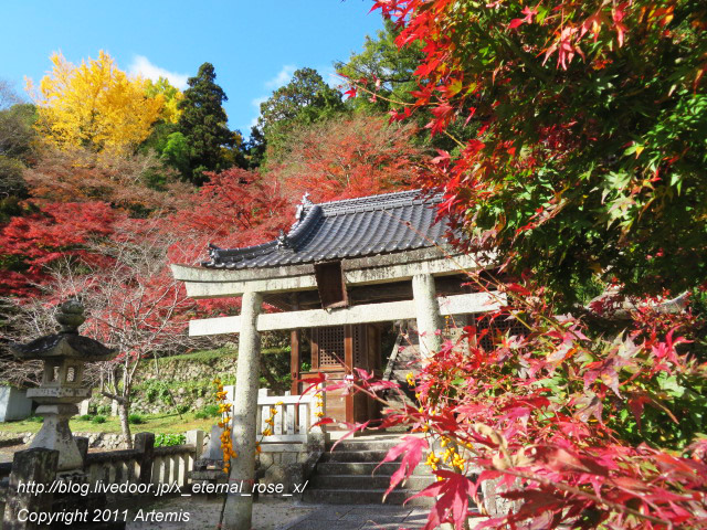20.11.21.3 備中高梁稲荷神社  (8)