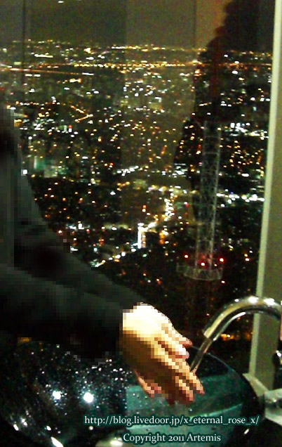 9.11.12.8 Nソウルタワー  (20)