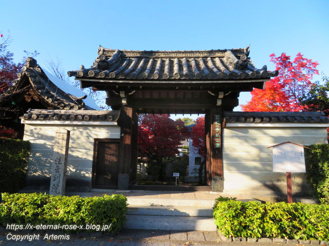 19.11.23.9 法金剛院  (1)