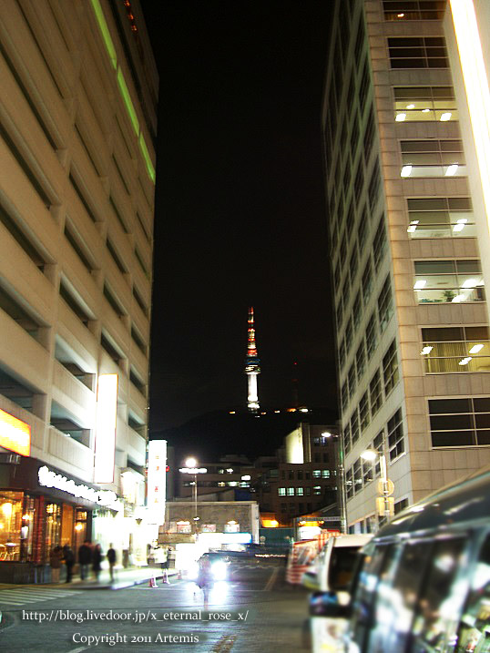 9.11.12.8 Nソウルタワー  (5)