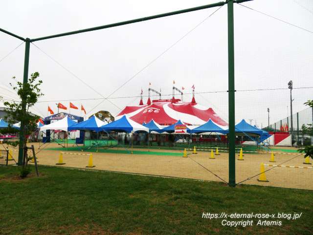 22.7.8 木下サーカス  (2)