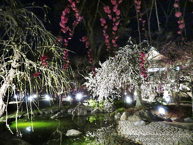 23.3.3. 北野天満宮   (63)